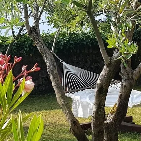 Peace Of Mind N 3 Apartment *
